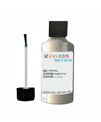 Paint for vauxhall pannacotta - paint,
