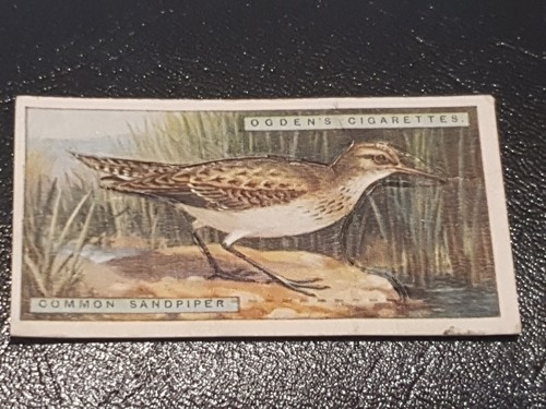 Ogdens cigarette card - ogdens, british