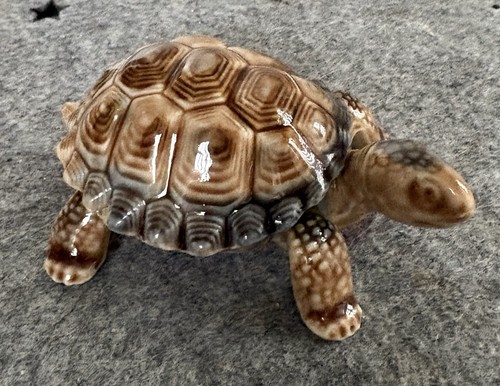 Large wade tortoise - tortoise, trinket