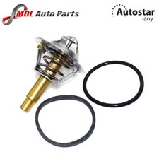 Autostar Germany Thermostat