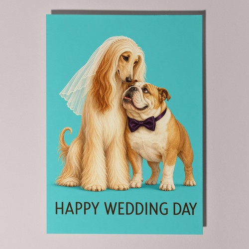 Afghan hound english - hound, bulldog