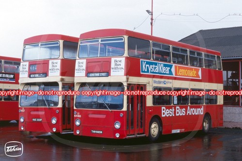 Bus photo western scottish - photo,