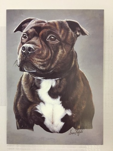 Dog greetings cards - cards,