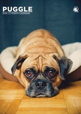 Puggle Calendar 2026