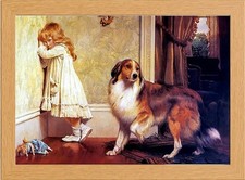 CHARLES BURTON BARBER  PRINTS IN GLASS FRONTED 10" X 13.5" WOODEN FRAME COLLIE