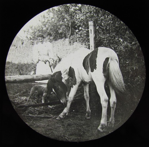 Glass magic lantern slide - magic,