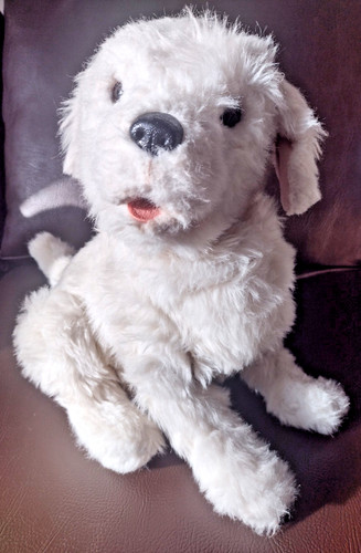 Furreal friends cookie - friends, my