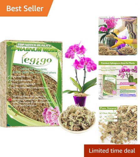 Sphagnum moss mix - qt,