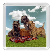 CAIRN TERRIER Dog Acrylic