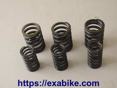 Valve springs for - springs, gpz