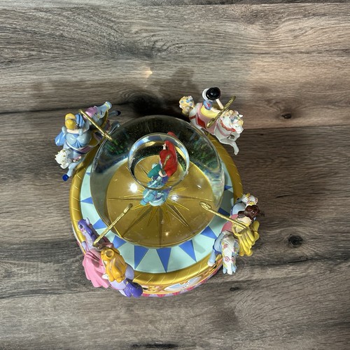 Disney princess carousel snow - princess,