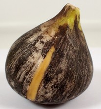 ESTATE Antique Italian