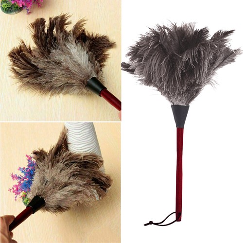 Anti static ostrich feather - anti-static,