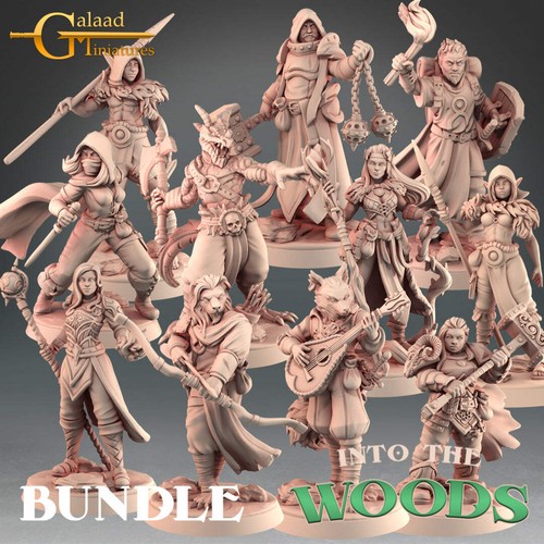 Hero miniatures into - hero, the