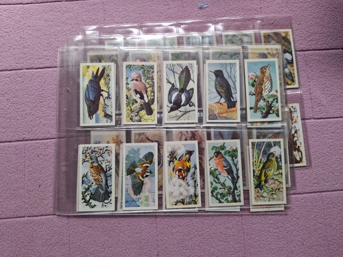 Complete set brooke - brooke, bond