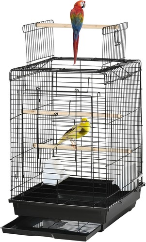 Bird cage parrot - bird,