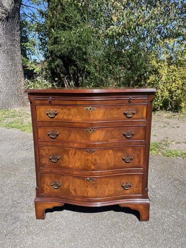 Antique burr walnut - antique,