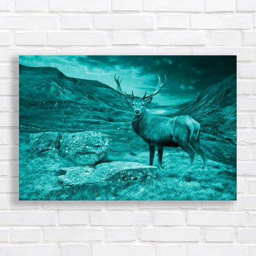 Proud deer majestic stag and - stag,