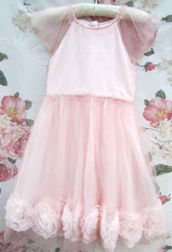 Monsoon pink rose - ,
