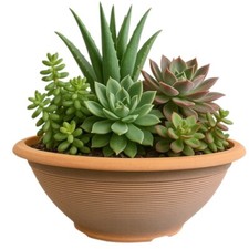 Helix 17-Inch Shallow Bowl Planter Terracotta Look Indoor/Outdoor Weather Resist