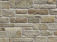 Very Attractive Walling/Building Stone (approx. 20 Ton Available)