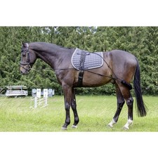 Hkm lunging training aid mocks - aid,