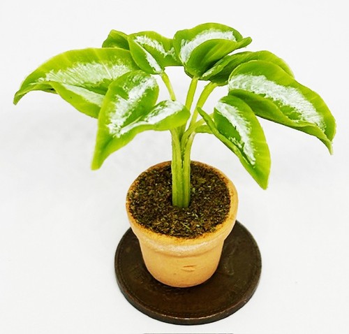 Dolls house green plant single - dolls,