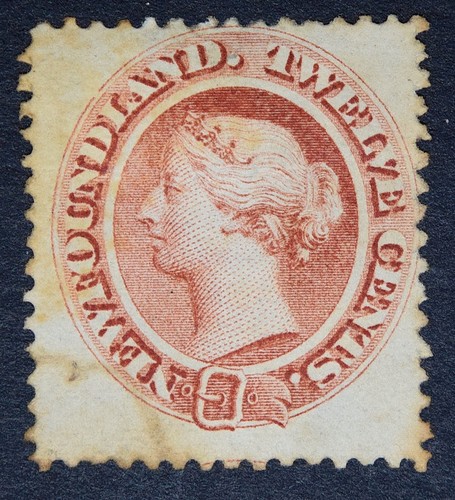 Newfoundland sg28 1865 12c - 1865,