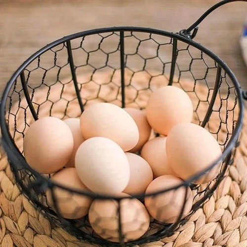 Wire egg basket decorative - egg,