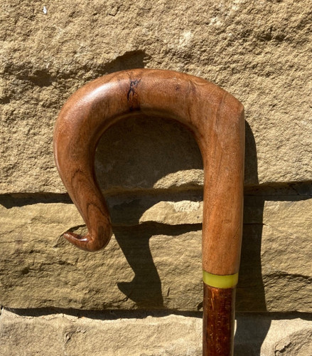 Chestnut crook on hazel - crook,