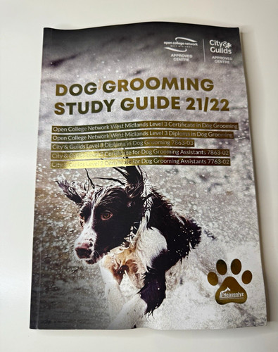 Heavenlyz dog grooming study - dog,