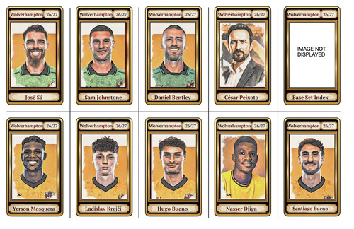 Wolverhampton wanderers - wanderers,