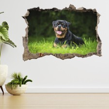 Rottweiler Dog Lying On The Grass 3d Smashed View Wall Sticker Poster Decal A906