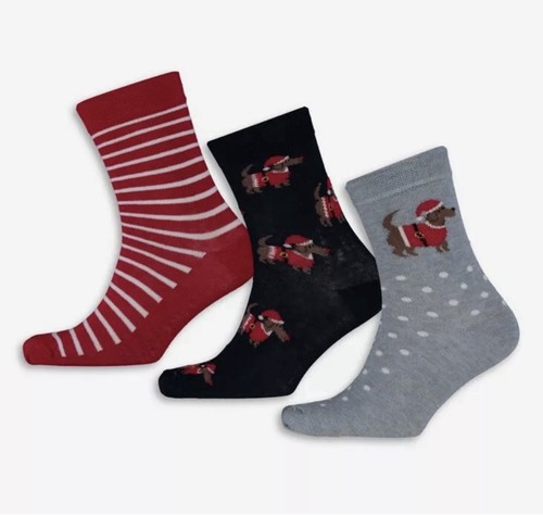 Sausage dog dachshund - dachshund, socks