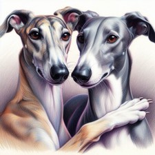 Greyhound , Lurcher