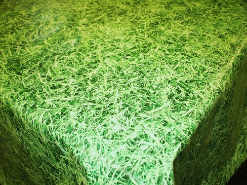 Grass vinyl wipe clean - vinyl,