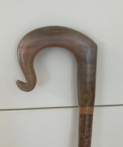 Cow horn crook on hazel - cow,