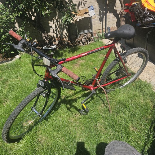 Raileigh mountain bike - raileigh,