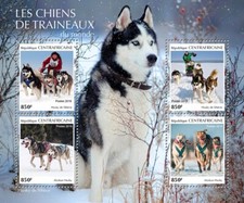 Sled Dogs Siberian Husky