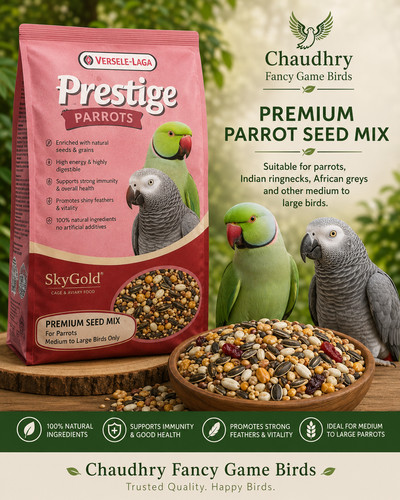 Versele laga prestige parrot - versele-laga,