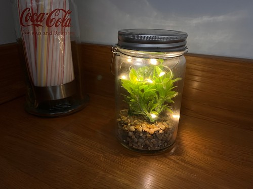 Mini terrarium glass hanging - mini,