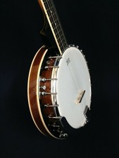 5-string Mahogany Resonator