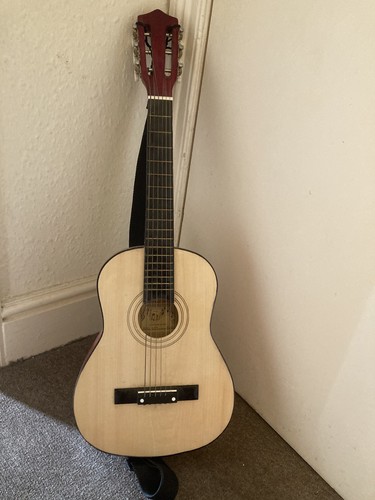Burswood 31fpn acoustic - burswood, jf-31fpn