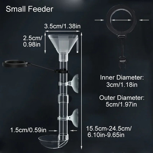 Acrylic fish tank - fish,