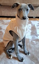 Polar Fleece Whippet Puppy