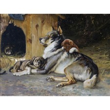Uchermann Elkhound With