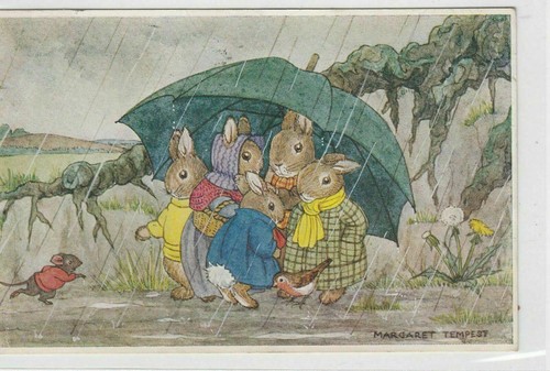 Collectable artist signed - collectable,