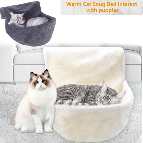 Cat kitten hanging - cat,