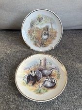 Pair Wildlife Of Britain