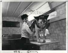 1987 Press Photo Carol